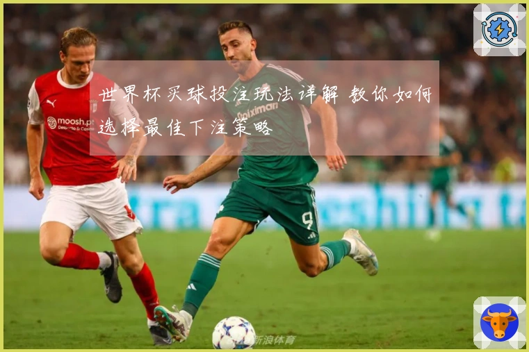 世界杯买球投注玩法详解 教你如何选择最佳下注策略