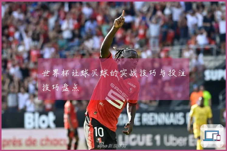 世界杯让球买球的实战技巧与投注技巧盘点