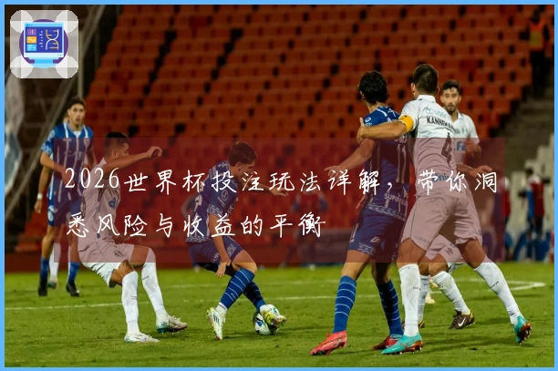 2026世界杯投注玩法详解，带你洞悉风险与收益的平衡