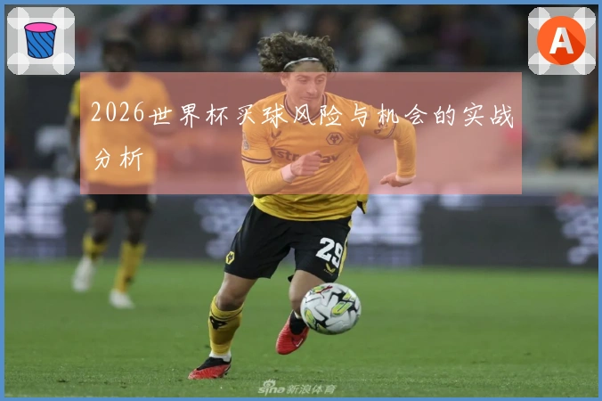 2026世界杯买球风险与机会的实战分析