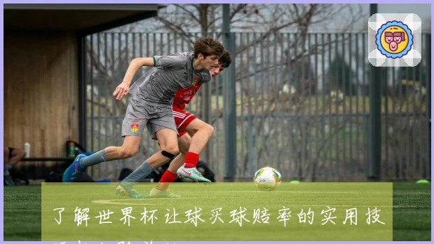了解世界杯让球买球赔率的实用技巧与经验总结