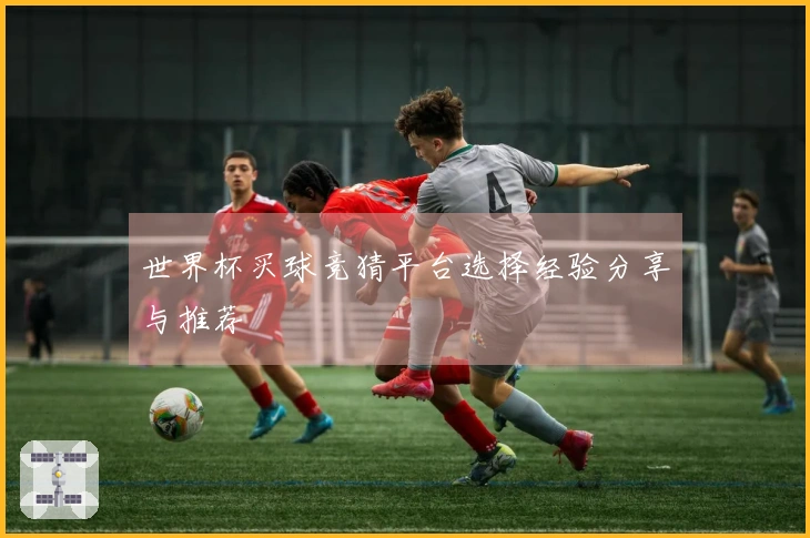 世界杯买球竞猜平台选择经验分享与推荐
