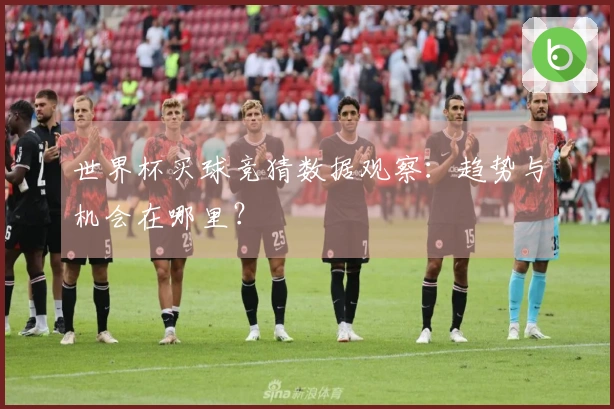 世界杯买球竞猜数据观察：趋势与机会在哪里？