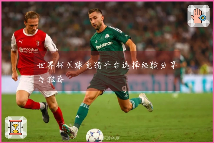 世界杯买球竞猜平台选择经验分享与推荐