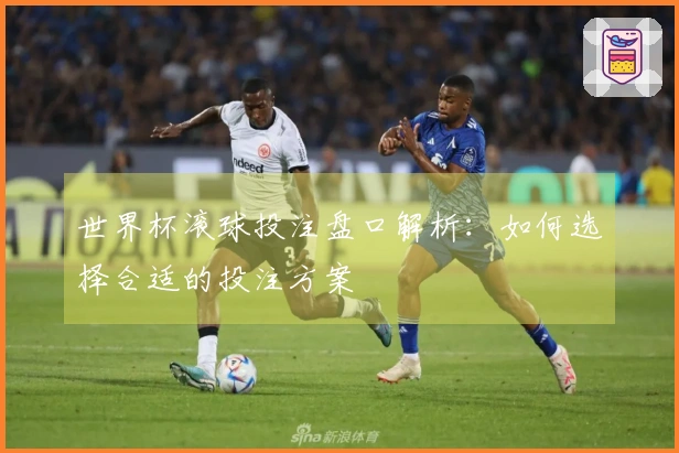 世界杯滚球投注盘口解析：如何选择合适的投注方案