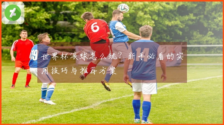 世界杯滚球怎么玩？新手必看的实用技巧与推荐方案